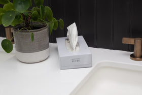 FACIAL TISSUE 100 SHEETS PER BOX - 30 BOXES/CARTON