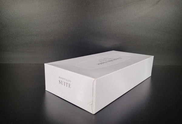 FACIAL TISSUE 100 SHEETS PER BOX - 30 BOXES/CARTON